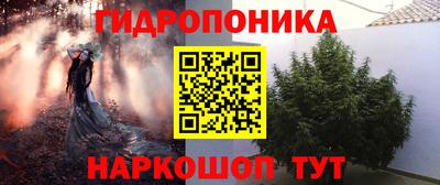 ГАЛЛЮЦИНОГЕННЫЕ ГРИБЫ Абакан