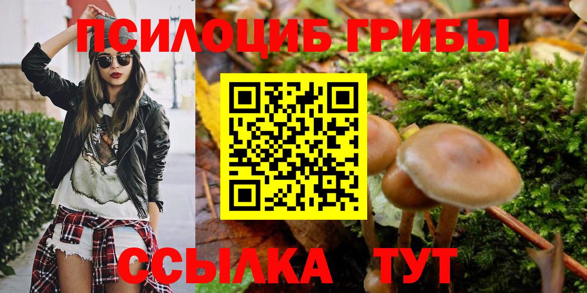 Галлюциногенные грибы ЛСД  закладка  Россия  Вход с VPN  Галлюциногенные грибы Magic Shrooms 